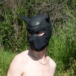 Pup Brenin - Lead Medic